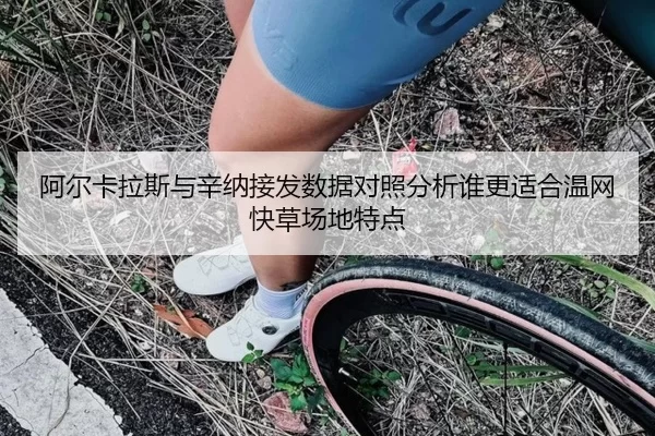 阿尔卡拉斯与辛纳接发数据对照分析谁更适合温网快草场地特点