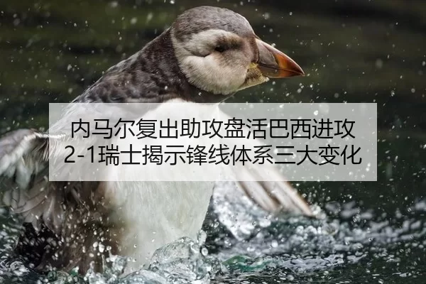 内马尔复出助攻盘活巴西进攻 2-1瑞士揭示锋线体系三大变化